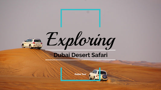 Evening Desert Safari with BBQ Dinner and Camping